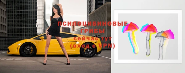 гидра Алзамай
