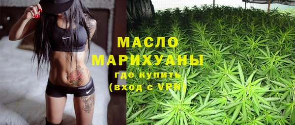 индика Абинск