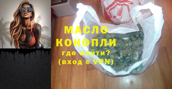 индика Абинск