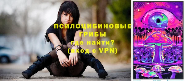 Альфа ПВП Тосно