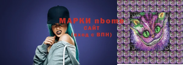 индика Абинск