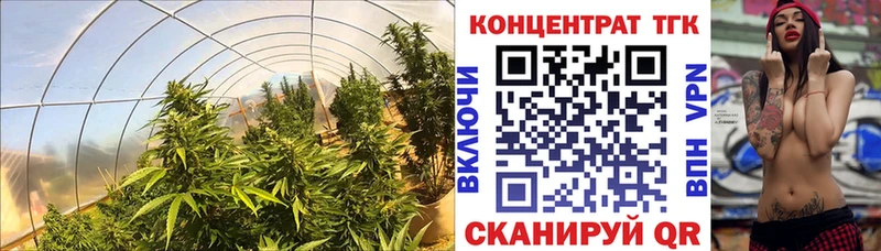 кракен   Тында  ТГК концентрат 