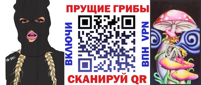 Псилоцибиновые грибы Magic Shrooms  купить закладку  Тында 
