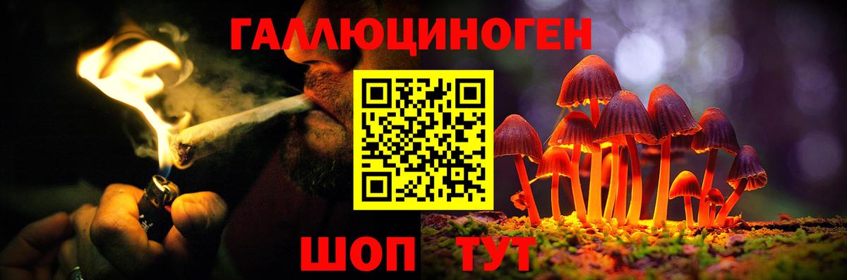Псилоцибиновые грибы MAGIC MUSHROOMS  Вход с VPN  Тында 